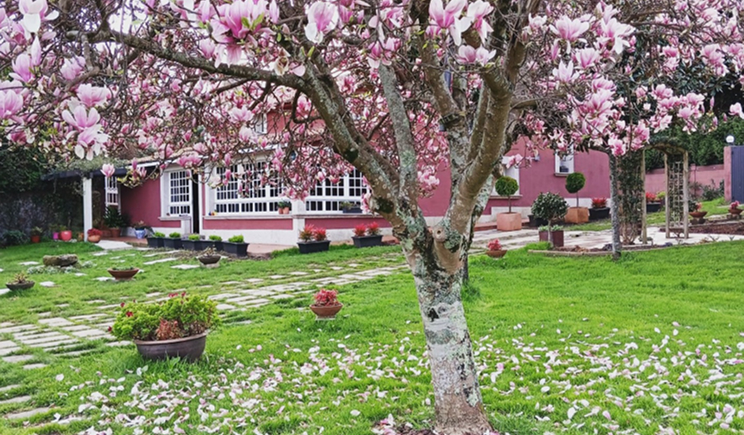 finca-santa-baia